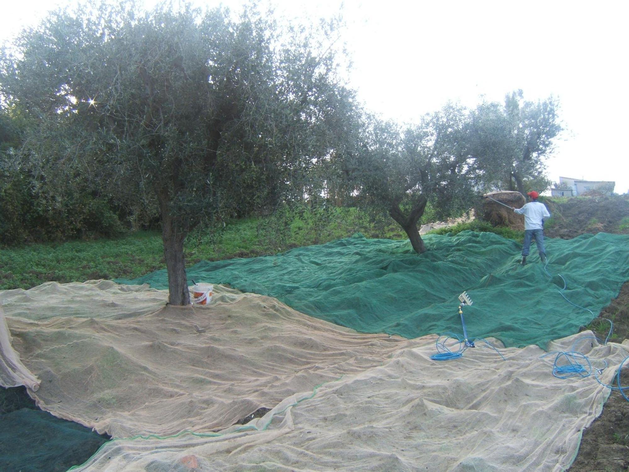 Agriturismo Il Vecchio Carro Campli Ngoại thất bức ảnh