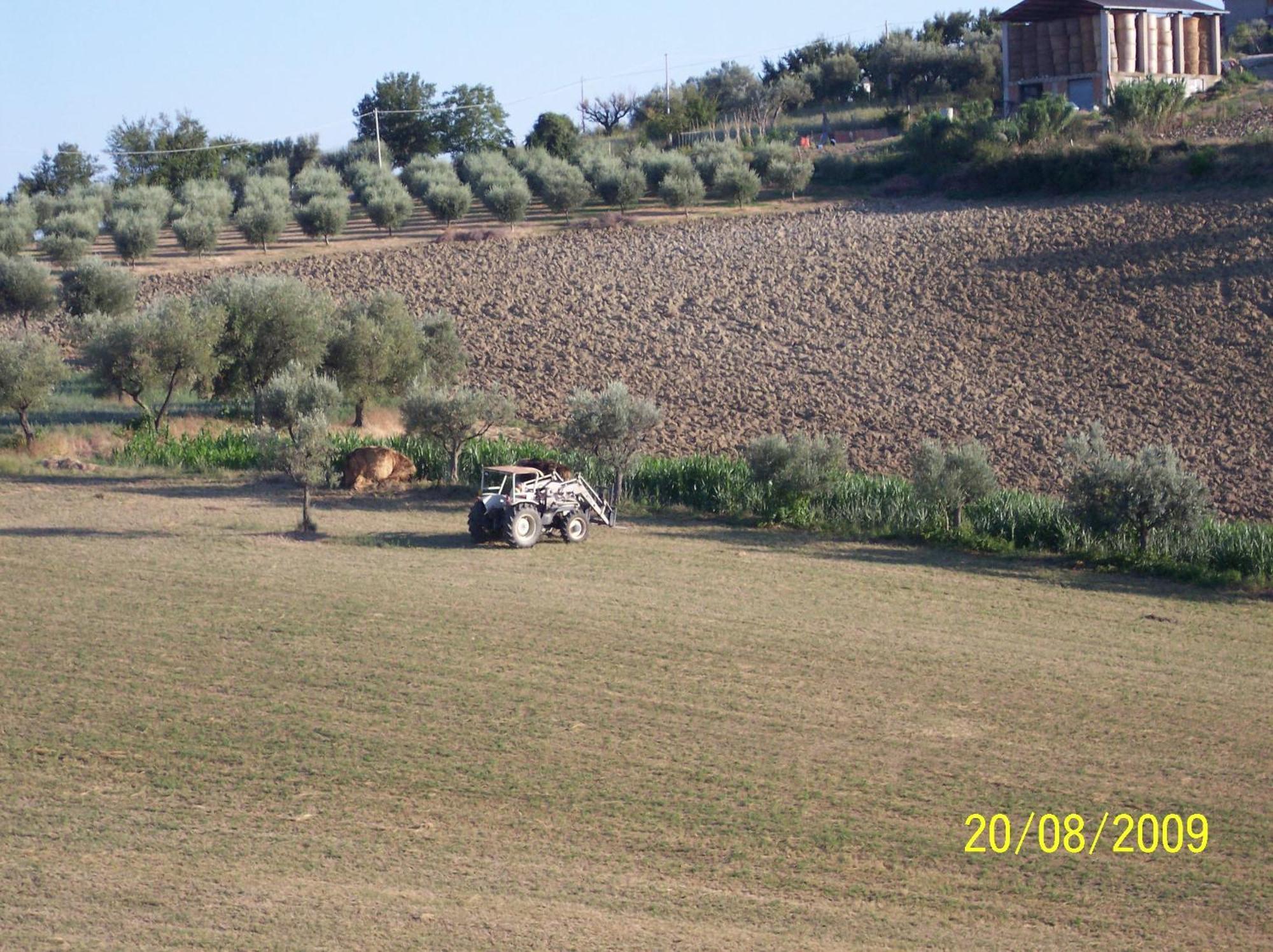 Agriturismo Il Vecchio Carro Campli Ngoại thất bức ảnh